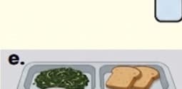 Tray d